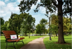 К сети DOM.RU Wi-Fi подключились 72 млн раз за год 